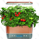 AeroGarden Harvest Elite | $90 | Amazon